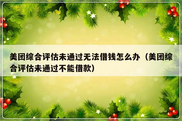 美团综合评估未通过无法借钱怎么办（美团综合评估未通过不能借款）