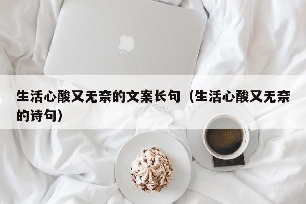 生活心酸又无奈的文案长句（生活心酸又无奈的诗句）