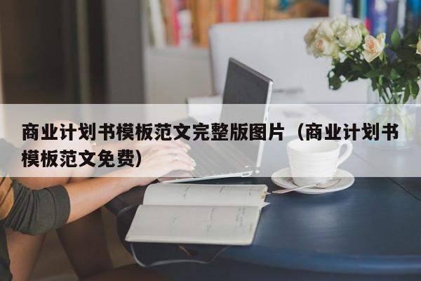 商业计划书模板范文完整版图片（商业计划书模板范文免费）