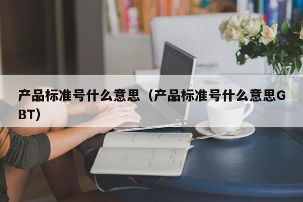 产品标准号什么意思（产品标准号什么意思GBT）