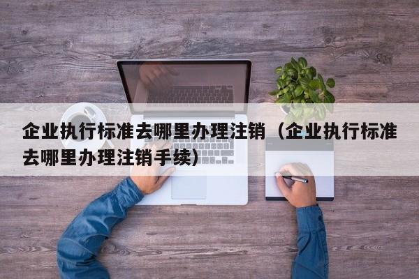 企业执行标准去哪里办理注销（企业执行标准去哪里办理注销手续）