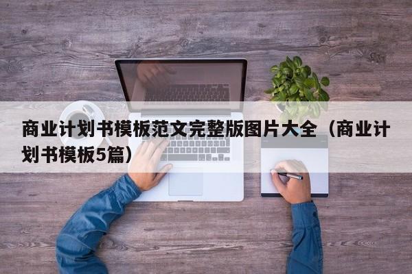 商业计划书模板范文完整版图片大全（商业计划书模板5篇）