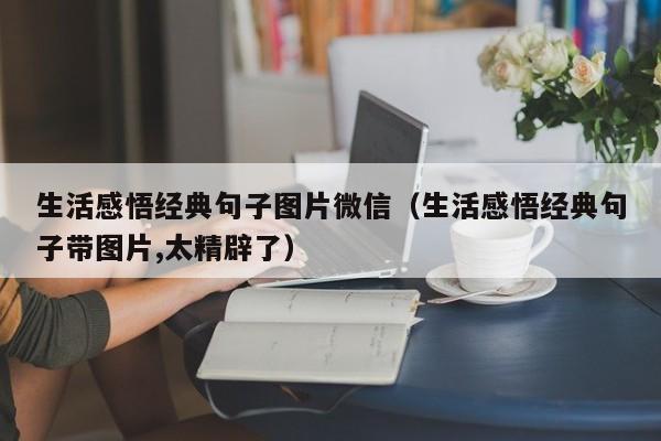 生活感悟经典句子图片微信（生活感悟经典句子带图片,太精辟了）