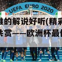 欧洲杯谁的解说好听(精彩解说带来全球共赏——欧洲杯最佳解说名将赏析)