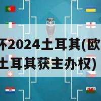 欧洲杯2024土耳其(欧洲杯2024 土耳其获主办权)