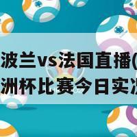 欧洲杯波兰vs法国直播(波兰与法国欧洲杯比赛今日实况)