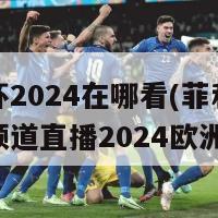 欧洲杯2024在哪看(菲利普斯体育频道直播2024欧洲杯)